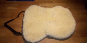 20230730_064909.jpg