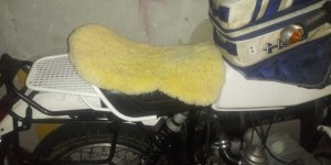 20230730_065352.jpg