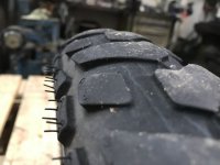 IMG_0729.jpg