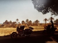 IMG_1380.jpg