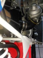 IMG_20231016_095254.jpg