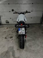 IMG_4101.jpg