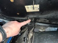 IMG_1578.jpeg