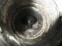 Z_Koepfe_31_12_2023_8.jpg
