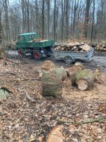 Unimog Holz.jpg