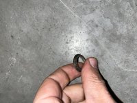 IMG_0742.jpg