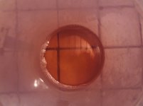 SUNP0269.JPG