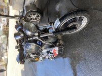 IMG_1316.jpg