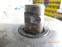 P1220169.JPG