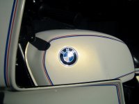 IMG_1677.JPG.jpg