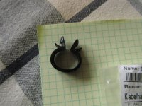 Halter-2.jpg