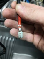 IMG_20240226_203453.jpg