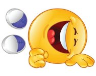 ROFL Smiley.jpg