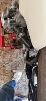 IMG_20240316_080911.jpg