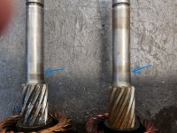 bosch2.jpg