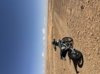 IMG_8596.jpg