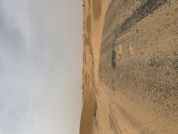 IMG_8512.jpg
