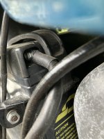 IMG_9056.jpg