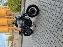 IMG_4386.jpg