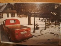 Käfer1.jpg