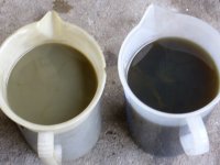 w2.JPG