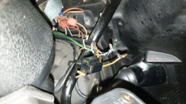 IMG_20240803_171336.jpg