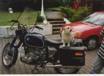 1993 bis 1994 BMW R60-6.jpg