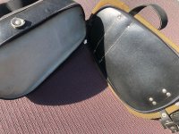 IMG_3956.jpg
