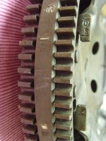 SNV30555.jpg