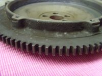 SNV30566.jpg