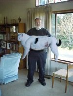 fettekatze.jpg