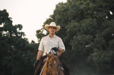 Zi_Pferd1.jpg