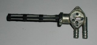 Hahn-2.JPG