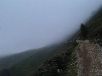 IMG_1965.jpg