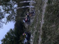 IMG_1963.jpg
