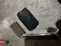IMG_0558.jpeg