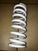 IMG_0343.jpeg