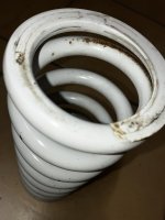 IMG_0342.jpeg