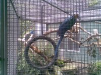 Bild298.jpg