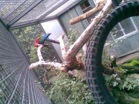Bild299.jpg
