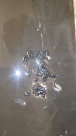 20241103_173929.jpg