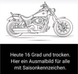 IMG_0650.jpeg