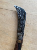 IMG_4934.jpeg