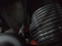 DSC03895.JPG