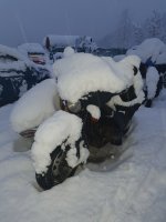 20241208_072559.jpg