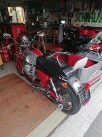 IMG_20240925_180119.jpg