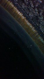 Image-3.jpg