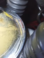 IMG_20250116_205122.jpg
