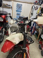IMG_4784.jpeg