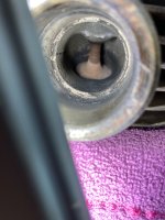 IMG_3265.jpeg